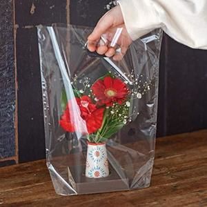 Heads Stand Bag Transparent